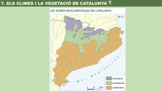 7. ELS CLIMES I LA VEGETACIÓ DE CATALUNYA
 
