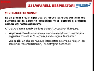 U3 L’APARELL RESPIRATORI
VENTILACIÓ PULMONAR
És un procés mecànic pel qual es renova l’aire que contenen els
pulmons, per tal d’obtenir l’oxigen del medi i extraure el diòxid de
carboni del nostre organisme.
Amb això s’aconsegueix en dues etapes successives rítmiques:
- Inspiració: En ella els músculs intercostals externs es contrauen i
pugen les costelles i l'estèrnum, i el diafragma descendeix.
- Expiració: En ella els músculs intercostals externs es relaxen i les
costelles i l'estèrnum baixen, i el diafragma ascendeix.
Biología
 