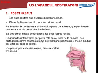 U3 L’APARELL RESPIRATORI
1. FOSES NASALS
- Són dues cavitats que s'obren a l'exterior pel nas.
- El nas és l'òrgan que té com a suport l'os nasal:
Per l'interior, la cavitat nasal està dividida per la paret nasal, que per darrere
connecta amb els ossos etmoide i vòmer.
Els dos orificis nasals condueixen a les dues fosses nasals,
Entapissades interiorment per petits pèls de cèl·lules de la mucosa, que
protegeixen contra cossos estranys de l'exterior i reparteixen el mucus produït
per unes cèl·lules de l'epiteli.
-En passar per les fosses nasals, l'aire s'escalfa i
s'humiteja.
Biología
 
