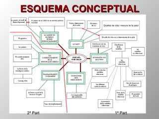 ESQUEMA CONCEPTUAL Qualitat de vida i mesura de la salut Distribució de les malalties al món 1ª Part 2ª Part El paper de la OMS en la sanitat pública mundial 
