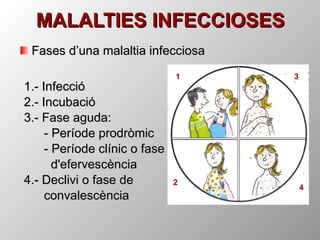 MALALTIES INFECCIOSES Fases d’una malaltia infecciosa 1.- Infecció 2.- Incubació 3.- Fase aguda:  - Període prodròmic - Període clínic o fase   d'efervescència 4.- Declivi o fase de  convalescència 1 2 3 4 