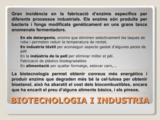 BIOTECNOLOGIA I INDUSTRIA En els detergents , enzims que eliminen selectivament les taques de roba i permeten reduir la temperatura de rentat. En industria tèxtil  per aconseguir aspecte gastat d’algunes peces de pell En la  indústria de la pell  per eliminar millor el pèl. Fabricació de plàstics biodegradables En  alimentació  per quallar formatge, estovar carn,...  Gran incidència en la fabricació d’enzims específics per diferents processos industrials. Els enzims són produïts per bacteris i fongs modificats genèticament en uns grans tancs anomenats fermentadors. La biotecnologia permet obtenir conreus més energètics i produir enzims que degraden més bé la cel·lulosa per obtenir bioetanol, això ha abaratit el cost dels biocombustibles (biodièsel, bioetanol, biogas), encara que ha encarit el preu d’alguns aliments bàsics, i els pinsos cosa que pot tenir una influència negativa en una part de la població que depèn d’aquests aliments per la seva supervivència. 