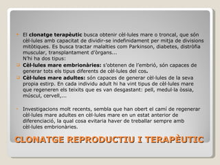 CLONATGE REPRODUCTIU I TERAPÈUTIC El  clonatge terapèutic  busca obtenir cèl·lules mare o troncal, que són cèl·lules amb capacitat de dividir-se indefinidament per mitja de divisions mitòtiques.  Es persegueix poder tractar malalties com Parkinson, diabetis, distròfia muscular, transplantament d’òrgans... N’hi ha dos tipus principals: Cèl·lules mare embrionàries:  s’obtenen de l’embrió (7-14 dies), són capaces de generar tots els tipus diferents de cèl·lules del cos . Cèl·lules mare adultes:  són capaces de generar cèl·lules de la seva pròpia estirp. En cada individu adult hi ha vint tipus de cèl·lules mare que regeneren els teixits que es van desgastant: pell, medul·la òssia, múscul, cervell,... Investigacions molt recents, sembla que han obert el camí de reprogramar cèl·lules mare adultes en cèl·lules mare en un estat anterior de diferenciació, convertint-les així en cèl·lules pluripotencials, la qual cosa evitaria haver de treballar sempre amb cèl·lules embrionàries. 