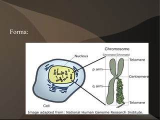 Dispersió col·loïdal 