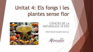 Unitat 4: Els fongs i les
plantes sense flor
CIÈNCIES DE LA
NATURALESA 1R ESO
PROFESSOR RAMON BATLLE
 