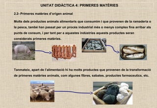 Primeres Unitat 4 matèries primeres | PPT