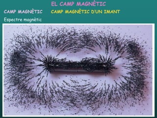 EL CAMP MAGNÈTIC
CAMP MAGNÈTIC       CAMP MAGNÈTIC D’UN IMANT
Espectre magnètic




  26/01/2012         Unitat 4. Electromagnetisme i corrent altern   5
 