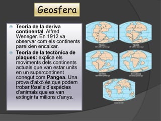 Geosfera
 Teoria de la deriva
continental. Alfred
Weneger. En 1912 va
observar com els continents
pareixien encaixar.
 Teoria de la tectònica de
plaques: explica els
moviments dels continents
actuals que van estar units
en un supercontinent
conegut com Pangea. Una
prova d’això és que podem
trobar fòssils d’espècies
d’animals que es van
extingir fa milions d’anys.
 