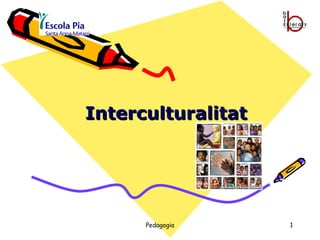 Interculturalitat 