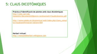 5: CLAUS DICOTÒMIQUES
Pràctica d’identificació de plantes amb claus dicotòmiques
http://xtec.cat/cda-
monestirs/documents%20previs/verdivermell/Claudicotomica.pdf
http://www.catedu.es/dicotomicas/web/index.php/clave_consul
ta/visualizarAfirmacion/idclave/654
Herbari virtual:
http://manyanetherbari.wikispaces.com
 