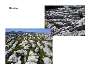 Rasclers
 