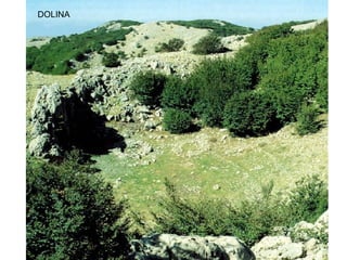 DOLINA
 
