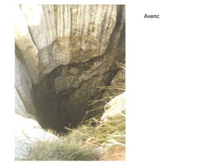 Avenc
 