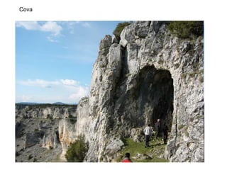 Cova
 