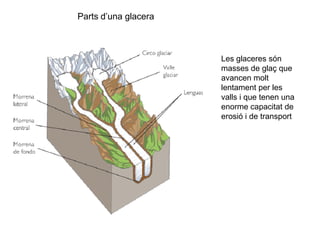Parts d’una glacera
Les glaceres són
masses de glaç que
avancen molt
lentament per les
valls i que tenen una
enorme capacitat de
erosió i de transport
 
