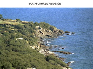 PLATAFORMA DE ABRASIÓN
 
