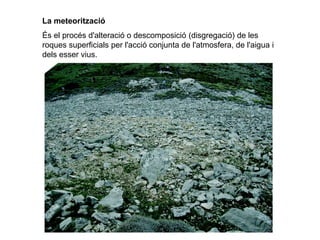 La meteorització
És el procés d'alteració o descomposició (disgregació) de les
roques superficials per l'acció conjunta de l'atmosfera, de l'aigua i
dels esser vius.
 
