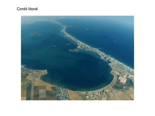 Cordó litoral
 