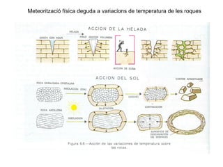 Meteorització física deguda a variacions de temperatura de les roques
 