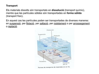 Transport
Els materials dissolts són transportats en dissolució (transport químic),
mentre que les partícules sòlides són transportades en forma sòlida
(transport físic).
En aquest cas les partícules poden ser transportades de diverses maneres:
en suspensió, per flotació, per saltació, per rodolament o per arrossegament
o reptació.
 
