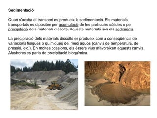 Sedimentació
Quan s'acaba el transport es produeix la sedimentació. Els materials
transportats es dipositen per acumulació de les partícules sòlides o per
precipitació dels materials dissolts. Aquests materials són els sediments.
La precipitació dels materials dissolts es produeix com a conseqüència de
variacions físiques o químiques del medi aquós (canvis de temperatura, de
pressió, etc.). En moltes ocasions, els éssers vius afavoreixen aquests canvis.
Aleshores es parla de precipitació bioquímica.
 