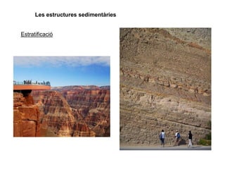 Les estructures sedimentàries
Estratificació
 