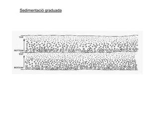 Sedimentació graduada
 