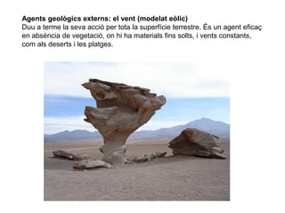 Agents geològics externs: el vent (modelat eòlic)
Duu a terme la seva acció per tota la superfície terrestre. És un agent eficaç
en absència de vegetació, on hi ha materials fins solts, i vents constants,
com als deserts i les platges.
 