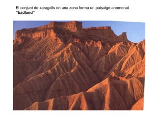 El conjunt de xaragalls en una zona forma un paisatge anomenat
“badland”
 