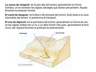 La conca de recepció: és la part alta del torrent, generalment en forma
d’embut, on es reneixen les aigües salvatges que baixen pel pendent. Aquest
fenomen la produeix l’erosió.
El canal de desguàs: és la llera o llit principal del torrent. Està situat a la zona
intermèdia del torrent, hi predomina el transport.
El con de dejecció: és la part baixa del torrent, generalment en forma de con,
on les aigües arriben de un riu o un altre torrent més gran, generalment al fons
d’una vall. Aquest fenomen la produeix la sedimentació.
 
