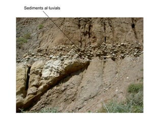 Sediments al·luvials
 