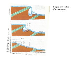 Etapes en l’evolució
d’una cascada
 