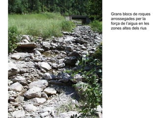 Grans blocs de roques
arrossegades per la
força de l’aigua en les
zones altes dels rius
 