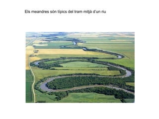 Els meandres són típics del tram mitjà d’un riu
 
