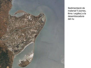 Sedimentació de
material fi (sorres,
llims i argiles) a la
desembocadura
del riu
 