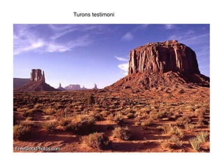 Turons testimoni
 