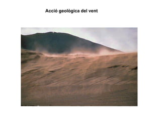 Acció geològica del vent
 
