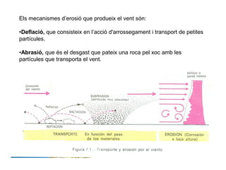 Els mecanismes d’erosió que produeix el vent són:
•Deflació, que consisteix en l’acció d'arrossegament i transport de petites
partícules.
•Abrasió, que és el desgast que pateix una roca pel xoc amb les
partícules que transporta el vent.
 
