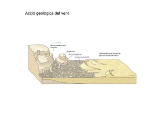 Acció geològica del vent
 