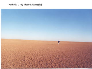 Hamada o reg (desert pedregós)
 