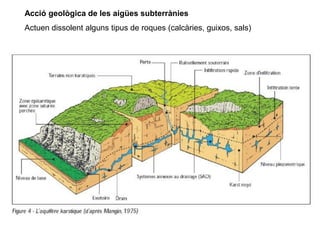 Acció geològica de les aigües subterrànies
Actuen dissolent alguns tipus de roques (calcàries, guixos, sals)
 