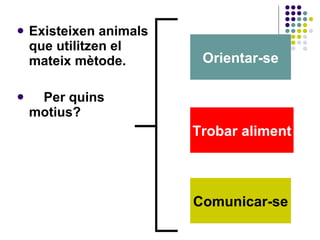 Existeixen animals que utilitzen el mateix mètode. Per quins  motius? Orientar-se Trobar aliment Comunicar-se 
