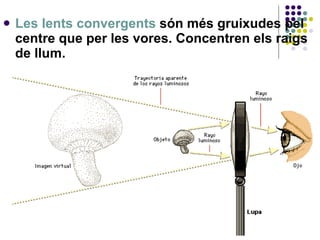 Les lents convergents  són més gruixudes pel centre que per les vores. Concentren els raigs de llum.  