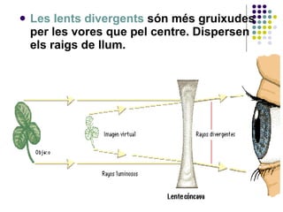 Les lents divergents  són més gruixudes per les vores que pel centre. Dispersen els raigs de llum. 