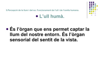 5.Percepció de la llum i del so. Funcionament de l’ull i de l’orella humana. L’ull humà. És l’òrgan que ens permet captar la llum del nostre entorn. És l’òrgan sensorial del sentit de la vista. 