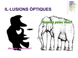 IL·LUSIONS ÒPTIQUES 