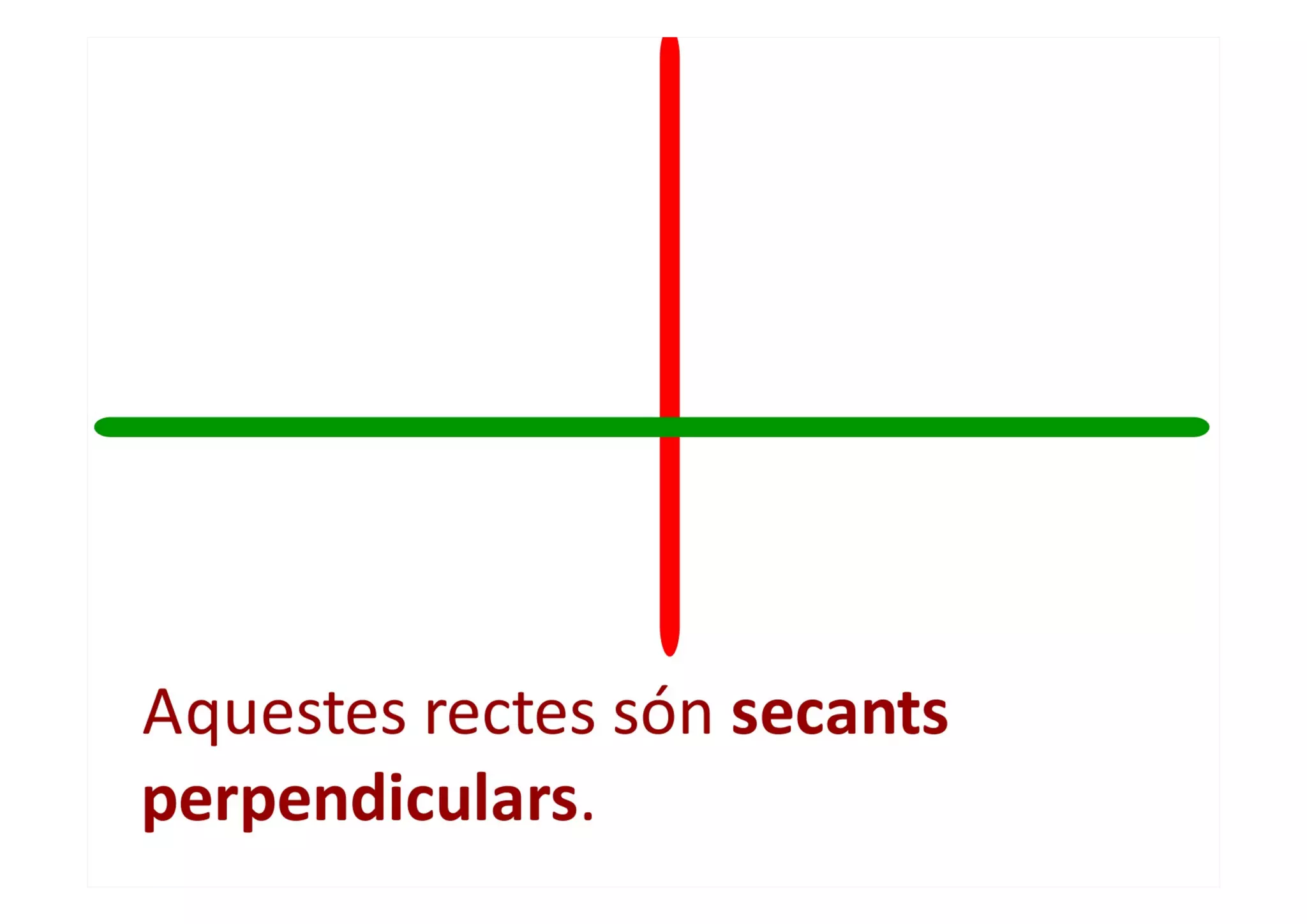 Rectes i segments