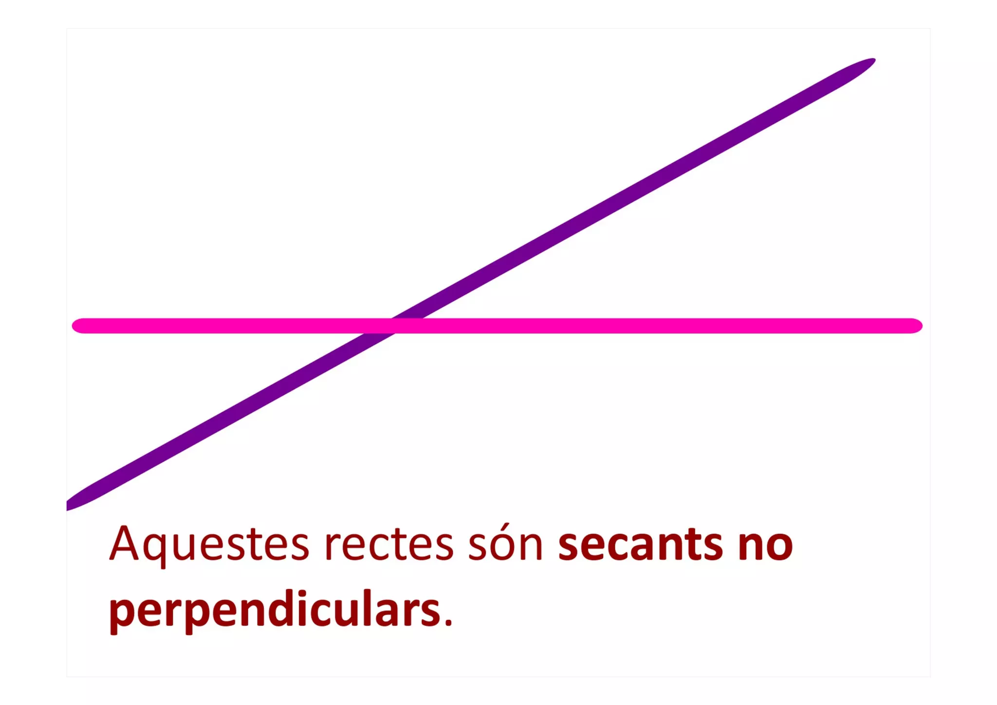 Rectes i segments