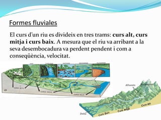 Formes fluviales
El curs d’un riu es divideix en tres trams: curs alt, curs
mitja i curs baix. A mesura que el riu va arri...