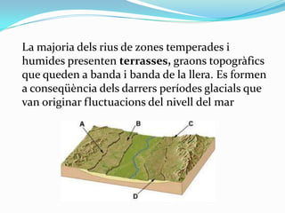 La majoria dels rius de zones temperades i
humides presenten terrasses, graons topogràfics
que queden a banda i banda de l...